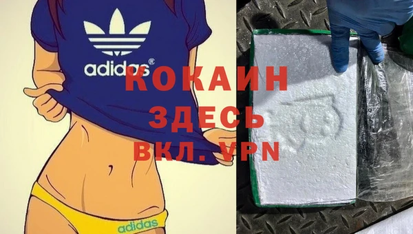 твердый Куйбышев